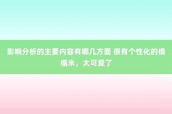 影响分析的主要内容有哪几方面 很有个性化的榻榻米，太可爱了