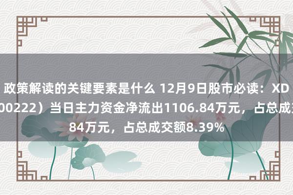 政策解读的关键要素是什么 12月9日股市必读：XD太龙药（600222）当日主力资金净流出1106.84万元，占总成交额8.39%