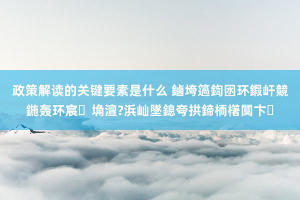 政策解读的关键要素是什么 鏀垮簻鍧囦环鍜屽競鍦轰环宸埆澶?浜屾墜鎴夸拱鍗栭櫡闃卞