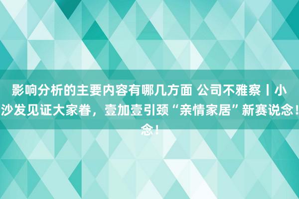 影响分析的主要内容有哪几方面 公司不雅察丨小沙发见证大家眷，壹加壹引颈“亲情家居”新赛说念！