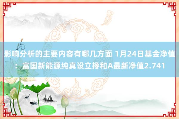 影响分析的主要内容有哪几方面 1月24日基金净值：富国新能源纯真设立搀和A最新净值2.741