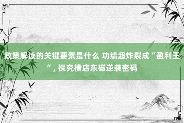 政策解读的关键要素是什么 功绩超炸裂成“盈利王”, 探究横店东磁逆袭密码